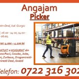 Picker depozit